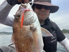 マダイの釣果