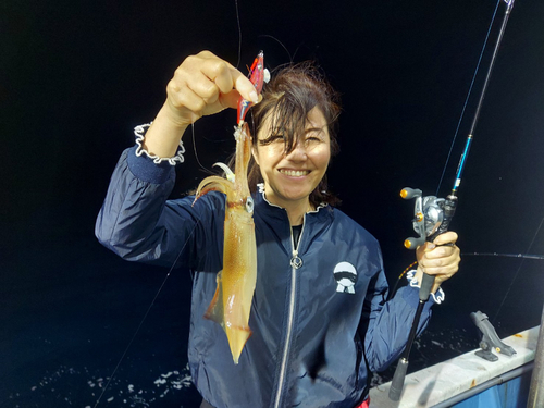 イカの釣果