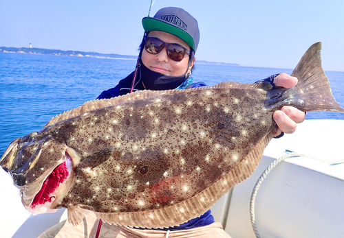 ヒラメの釣果