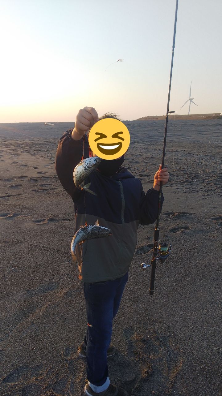 コノシロ