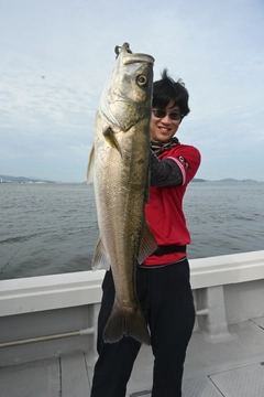 シーバスの釣果