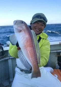 シロアマダイの釣果