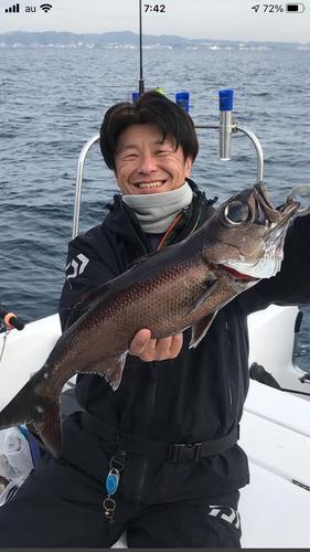 クロムツの釣果