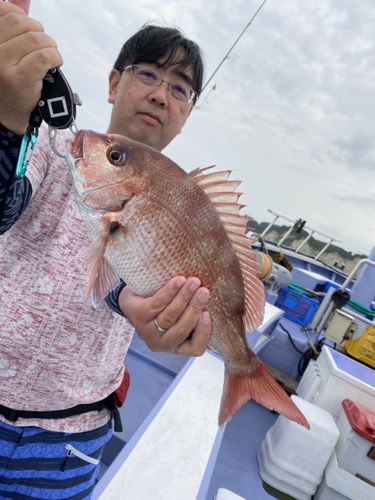 マダイの釣果