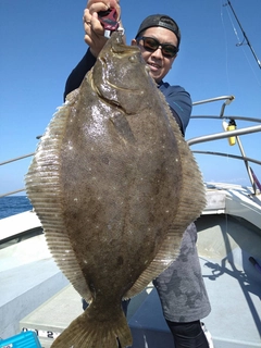 ヒラメの釣果