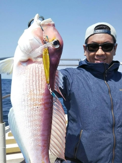 アマダイの釣果