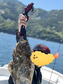 ヒラメの釣果