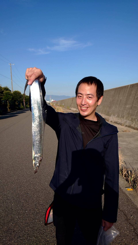 タチウオの釣果