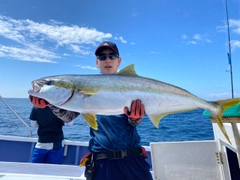 ヒラマサの釣果