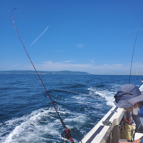 タチウオの釣果