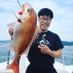 マダイの釣果