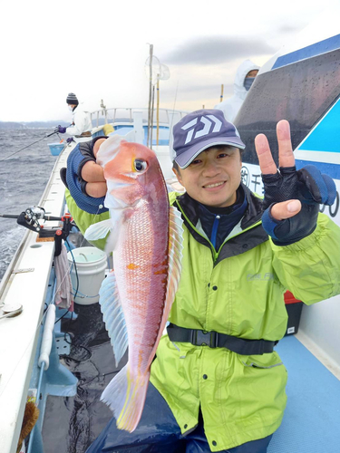 アマダイの釣果