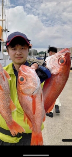 アカムツの釣果