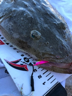 ミナミマゴチの釣果