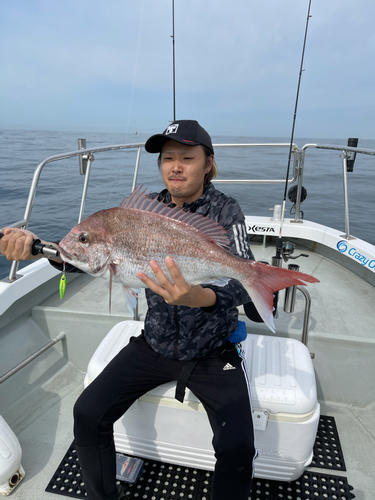 マダイの釣果