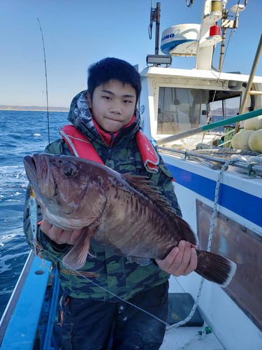 マハタの釣果