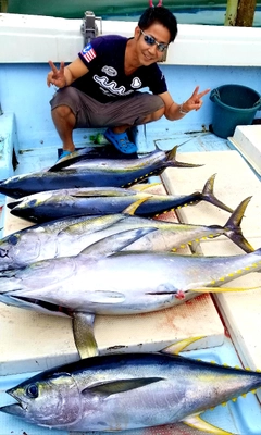 キハダマグロの釣果