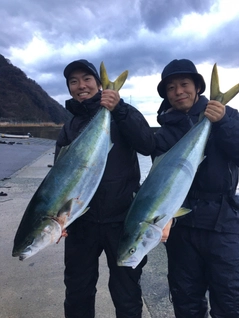 ブリの釣果