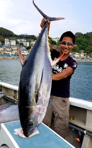 キハダマグロの釣果