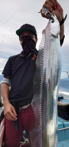 タチウオの釣果