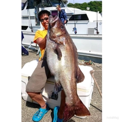 イシナギの釣果