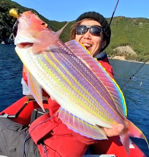 イトヨリダイの釣果