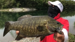 スモールマウスバスの釣果