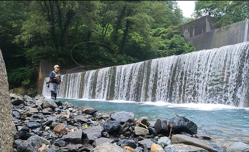 イワナの釣果