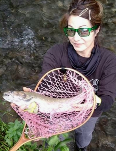 ニッコウイワナの釣果