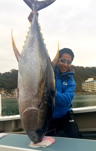 キハダマグロの釣果