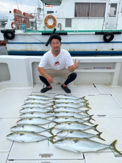 ハマチの釣果