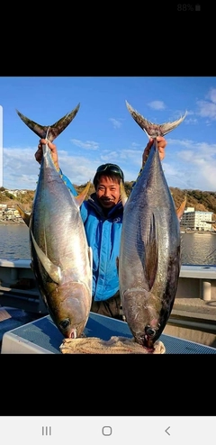 キハダマグロの釣果