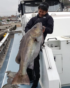 イシナギの釣果