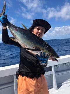 キハダマグロの釣果