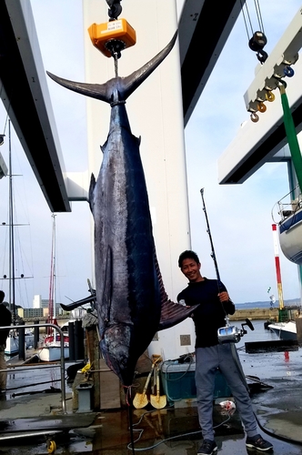 クロカジキの釣果