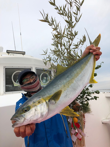 ヒラマサの釣果