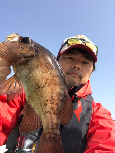 キンメバルの釣果