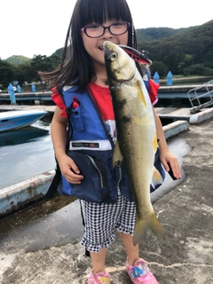 ウグイの釣果