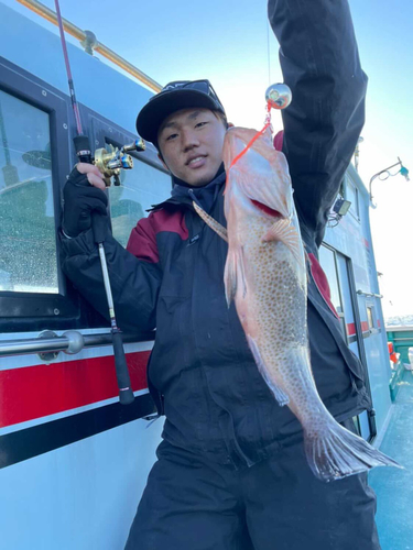 オオモンハタの釣果