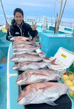 マダイの釣果