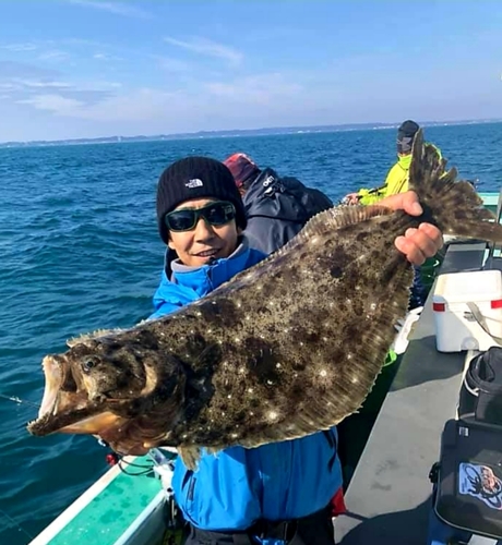 ヒラメの釣果