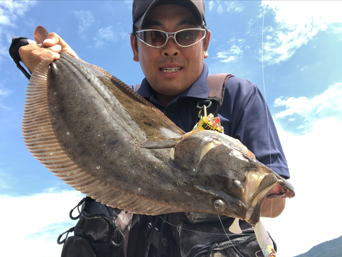 ヒラメの釣果