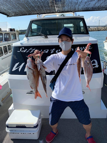 マダイの釣果