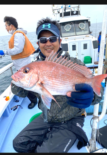 マダイの釣果