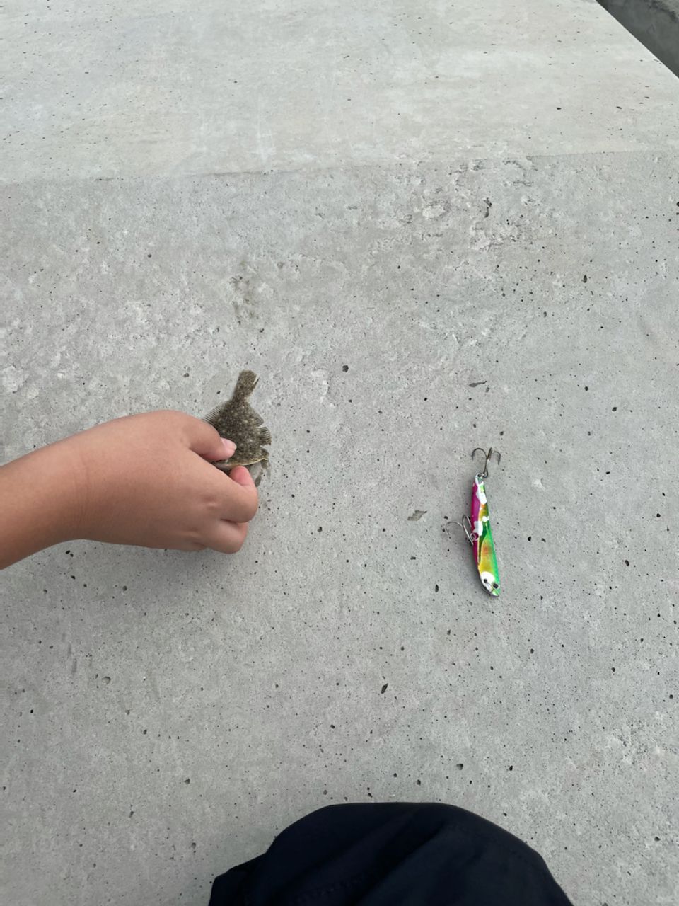 ヒラメ