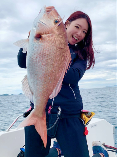 マダイの釣果