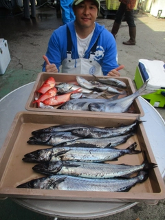 メダイの釣果