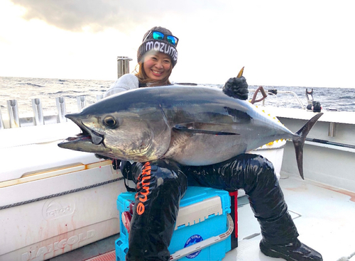 クロマグロの釣果