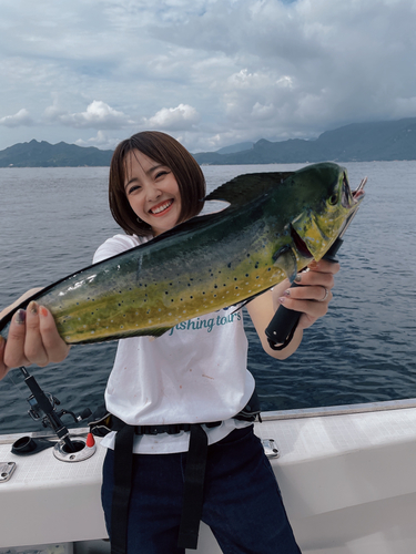 シイラの釣果