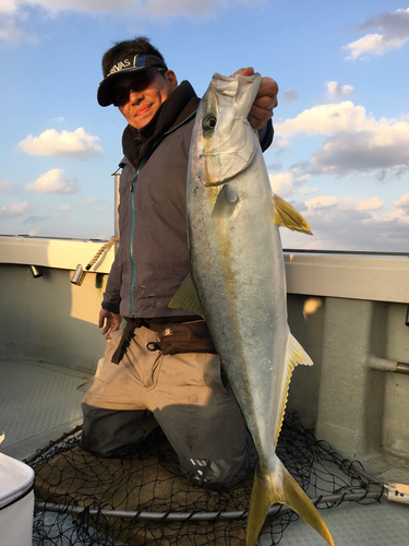 ヒラマサの釣果